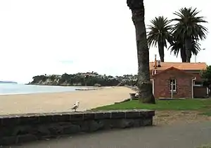 View of St Heliers Beach towards Achilles Point