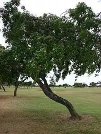 In Oahu, Hawaii