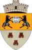 Coat of arms of Satulung