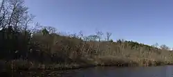 A pond surrounded by woods