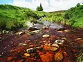 Stream near Cruagh Wood