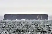 Strizhov Island, a small rock island at southwest tip of Belkovsky Island (75°18’40‘‘N, 135°28’52E)