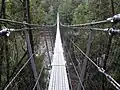 Swinging Bridge