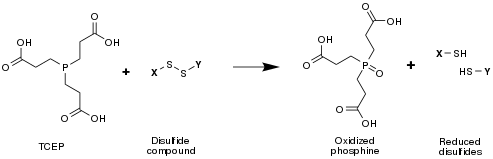 TCEP reaction showing it reducing a disulfide bond