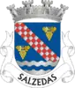 Coat of arms of Salzedas