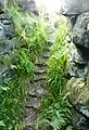 Tappoch Broch stairs