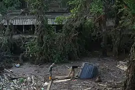 Tbilisi Zoo after the flood