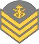 Terceiro-sargento fuzileiro naval(Brazilian Marine Corps)