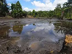 Oil pollution in Lago Agrio, November 2007