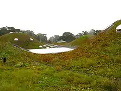 Roofscape resembles a hilly meadow