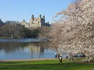 The Lake in Central Part with a high-rise building in the background