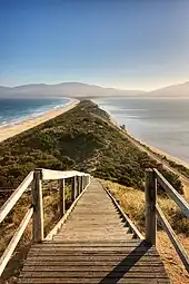 "The Neck" connects the two halves of Bruny Island and is an important breeding site for short-tailed shearwater and fairy penguins