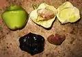 Cascabela thevetia (syn.Thevetia peruviana): dissection of toxic fruits.