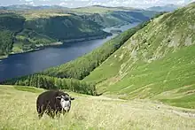 Thirlmere