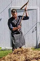 Flail being used for threshing