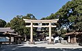 Torii at the courtyard of Meiji-jingu