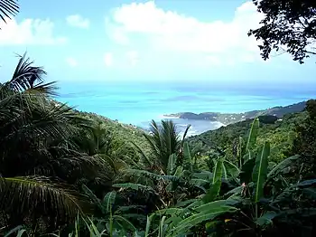 View of the North Coast