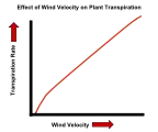 The effect of wind velocity on the transpiration rate of plants.