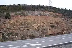 Three eras of deposition and two discordances are visible in this highway cut in the Netherlands. Note the color and slight angular change between the lower red bed layering and the middle strata. The upper strata are tilted yet again relative to the bottom layerings well demonstrating the cycles this land formation went through as part of the sea floor.