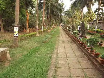 Tribal paintings in trees