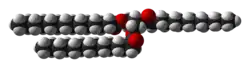 Space-filling model of trimyristin