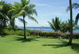 A view from a resort in Mactan where the sun is directly overhead at noon.