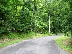 Looking east along Tumble Falls Road from Route 29