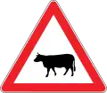 Domestic Animals can cross on the road