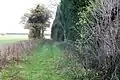 Twenty Acre Lane, Lower Stonnall, an unadopted road.