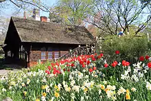 The Shakespeare Garden in Central Park.