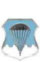 Air Force Basic Parachutist Badge