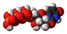 Ball-and-stick model of the UTP molecule as an anion