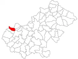 Location in Satu Mare County