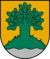 Coat of arms of Valmiera Municipality