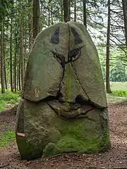 Glacial erratic "Devil's Stone" in Vehrte