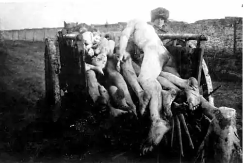 Image 6Corpse of Soviet Famine victims transported to the cemetery. (Kherson)