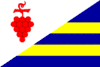 Flag of Těmice