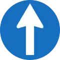 15: Prescribed direction: Straight ahead only