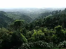 Henderson Valley seen from the Waitākere Ranges