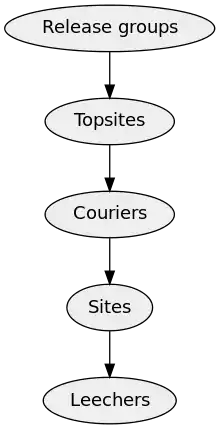 A hierarchy, from the top down it reads: "Release Groups", "Topsites", "Couriers", "Sites", and "Leechers".