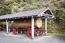 Kauri log at the Warkworth Museum