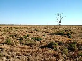 Dry bed of Lake Pinaroo