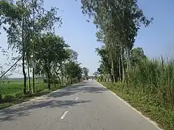 Road in Baliadangi Upazila