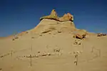 A whale skeleton lies in the sand at Wadi Al-Hitan (Arabic: وادي الحيتان, "Whales Valley") near the city of Faiyum