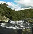 Whangārei Falls as seen from a walkway over the river.