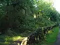 The front platform of Whitwell Station before restoration. Vastly overgrown, and adjacent to the Marriott's Way cycle path.