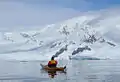 A kayaker watches whales in Wilhelmina Bay