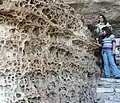 Honeycomb weathering in the canyon