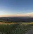 A view of the Bay Area from Windy Hill.  Mount Diablo is visible in the distance.