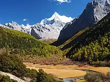 Chonggu grassland and conifer-clad foothills of Mount Chanadorje, snow-clad in background. Yading range.